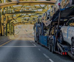 licitatii auto europa