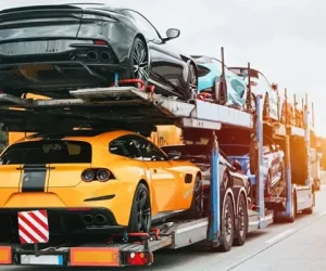 masini germania ungaria